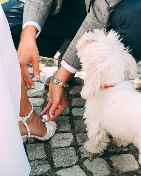 Slikanje mladenaca Beograd